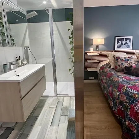 Apartment Passion Cannes