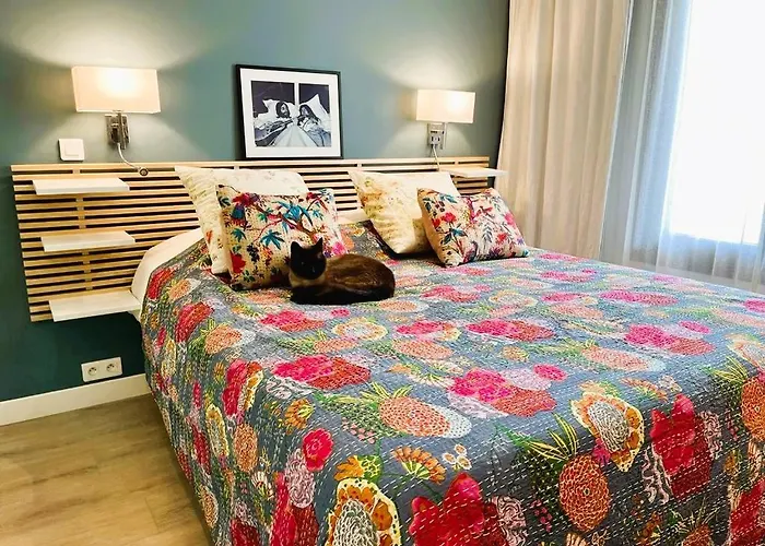 Apartman Passion Cannes